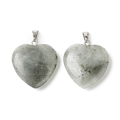 Природные подвески лабрадорита&nbsp;G-G956-B45-FF