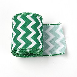 Полиэфирные ленты&nbsp;LS-OCOR-TAC0009-18D