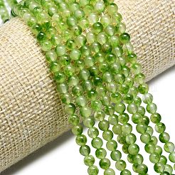 Натуральный Malaysia нефритовые бусы пряди&nbsp;G-L645-C01-6mm-31