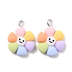 Подвески из смолы&nbsp;X-RESI-C002-24