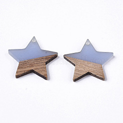 Прозрачные подвески из смолы и дерева&nbsp;LS-X-RESI-T023-23-B01