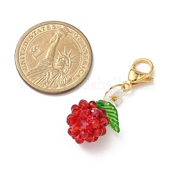 3D подвеска из стеклянных семян яблок и акрила&nbsp;HJEW-MZ00353