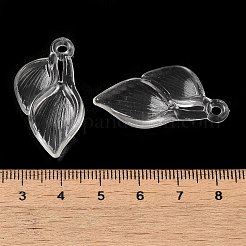 Прозрачные акриловые подвески&nbsp;TACR-G048-04C