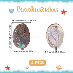 Украшение из натуральной раковины морского ушка&nbsp;FIND-WH0817-038A