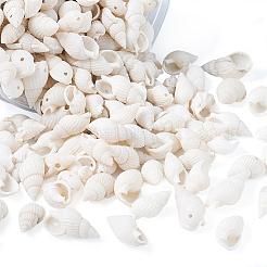 Натуральные бусины из ракушек-трубочек BSHE-KS0001-01