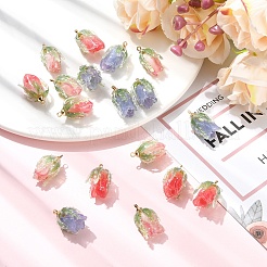 6шт 3 цвета прозрачные акриловые подвески&nbsp;SACR-YW0002-09