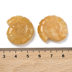 Декоративные раковины из натурального топаза и нефрита.&nbsp;DJEW-D303-01M