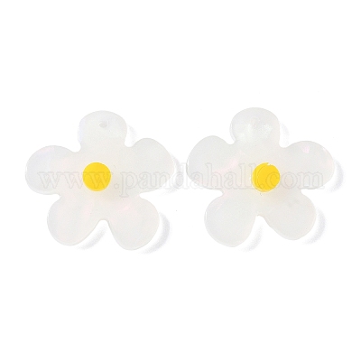 Непрозрачные акриловые подвески&nbsp;LS-FIND-K024-02B-1