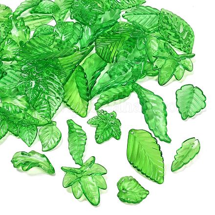 Прозрачные акриловые подвески&nbsp;OACR-G056-01A-1