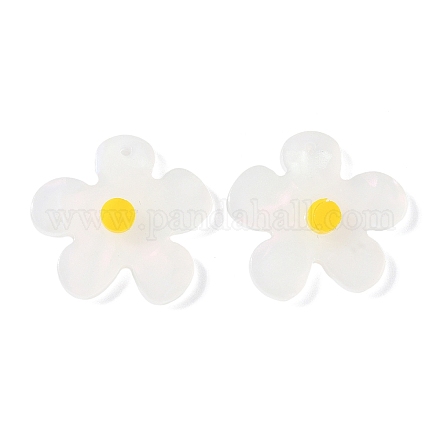 Непрозрачные акриловые подвески&nbsp;LS-FIND-K024-02B-1