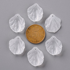 Прозрачные матовые акриловые подвески MACR-S371-01A-701