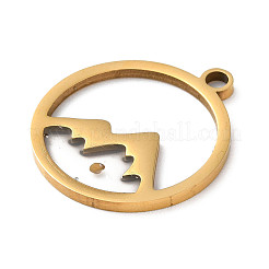 201 подвеска из нержавеющей стали&nbsp;LS-STAS-D041-17G