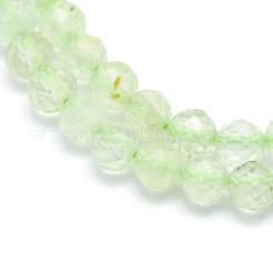 Природные пренит нитей бисера&nbsp;G-E411-25-2mm