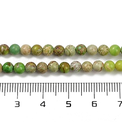 Нити бусин из окрашенного натурального регалита/императорской яшмы/морского осадка яшмы&nbsp;G-B124-C04-06