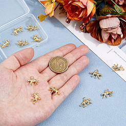 Латунные подвески с покрытием 12шт&nbsp;KK-HS0001-27