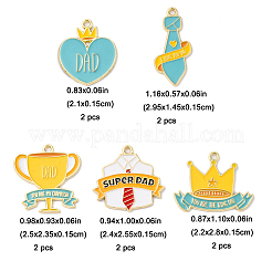 10 шт. 5 стиля подвески из сплава и эмали ко Дню отца&nbsp;ENAM-FP0002-18