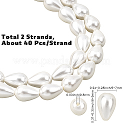 2 нити полированных ракушечных жемчужных бусин&nbsp;BSHE-PA0001-03
