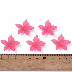 Прозрачные акриловые бусины&nbsp;MACR-S373-127-D