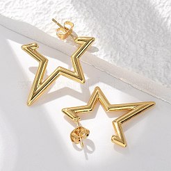 Серьги-гвоздики из нержавеющей стали 304&nbsp;EJEW-L296-003G