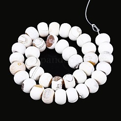 Окрашенные естественный агат бисер пряди&nbsp;G-T144-26A