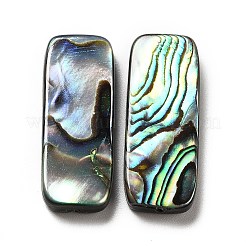 Бусины из натуральной ракушки пауа SHEL-G014-07A