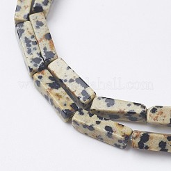 Природные яшмы далматин бисер нитей&nbsp;X-G-G968-D10