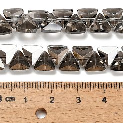 Стеклянные бусины с гальваническим покрытием &nbsp;EGLA-P066-02A-PL04