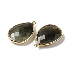 Граненые подвески природного лабрадорита&nbsp;G-M356-B02-LG