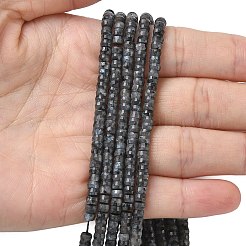 Натуральные нити бус из ларвикита&nbsp;G-A299-A04-01