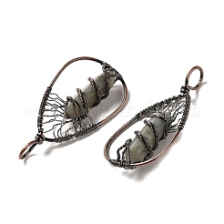 Большие подвески с двойным наконечником из натурального лабрадорита&nbsp;G-Q015-01E