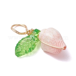 12 шт. 4 стиля подвески из натуральной морской ракушки в медной проволоке&nbsp;PALLOY-JF03610