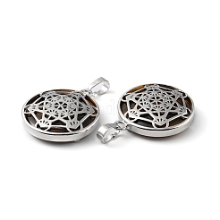 Природных тигровый глаз подвески&nbsp;G-P498-04P-22