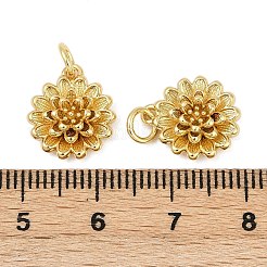 Латунь подвески&nbsp;KK-S527-12G