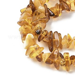 Янтарные шарики нити&nbsp;G-L095-D01-01