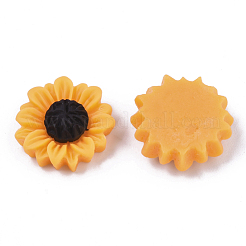 Кабошоны из смолы&nbsp;CRES-T010-57A