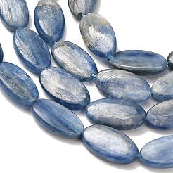 Натуральный кианитовые бисер пряди&nbsp;G-H335-D01-8x15mm