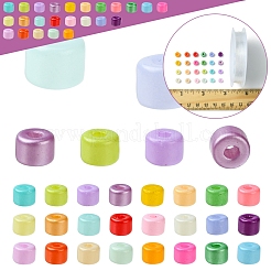 Наборы для изготовления браслетов из стеклянных бусин своими руками&nbsp;SEED-FS0001-39