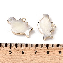 Натуральная ракушка трохида / подвески из ракушки трохуса&nbsp;SHEL-B003-09G