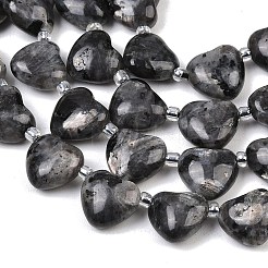 Натуральные нити бус из ларвикита&nbsp;G-NH0069-A10