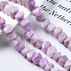 Природные кунцит бисер нитей&nbsp;G-S376-008-4