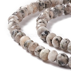 Окрашенные нити бусины из натуральной кунжутной яшмы/киви яшмы rondelle&nbsp;G-E316-A