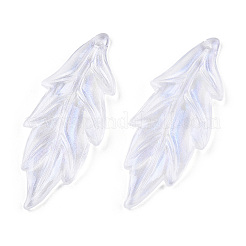 Прозрачные акриловые подвески&nbsp;X-OACR-T003-47