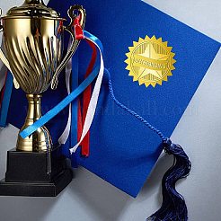 12 лист самоклеящихся наклеек с тиснением золотой фольги&nbsp;DIY-WH0451-047
