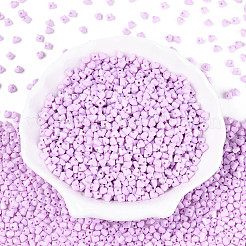 Выпечка краска стеклянные бусины&nbsp;SEED-N007-30J