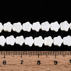 Нити бусин из натуральных пресноводных ракушек&nbsp;SHEL-N027-02-01