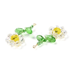 Подвески из стеклянных бусин&nbsp;GLAA-C028-06E