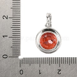 925 подвеска из стерлингового серебра с паве из кубических цирконий&nbsp;STER-C015-01C-01