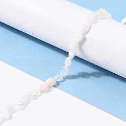 Бусины из натурального радужного лунного камня&nbsp;G-G018-48