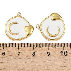 Нержавеющая сталь 304 с эмалевыми подвесками&nbsp;STAS-Z166-19G-03