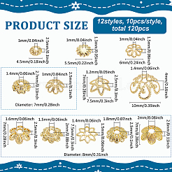 120 шт. 12 стиля колпачков для бусин из сплава&nbsp;FIND-PH0022-80G